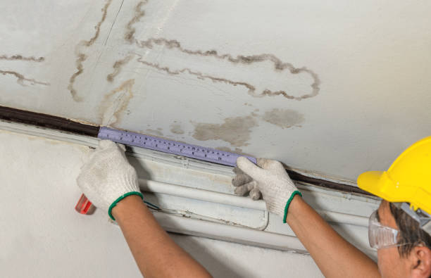 Reliable Water Damage contractor in Johnstown, CO by Water Damage Irwin
